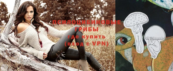 МДПВ Абдулино