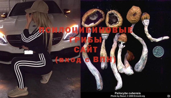 мдпв Абинск