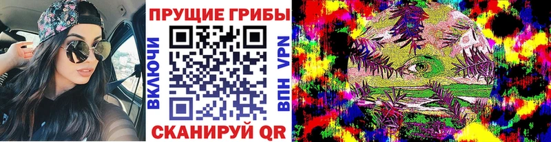 мега вход  наркота  Венёв  Галлюциногенные грибы MAGIC MUSHROOMS 